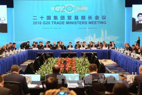 G20 trade ministers boost trade growth strategy - ảnh 1